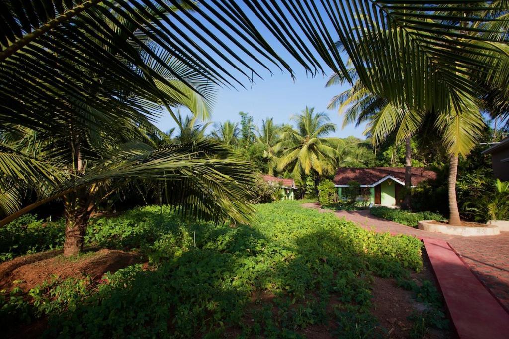 Dunhill Beach Resort Agonda Eksteriør bilde